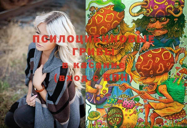 меф Новокубанск
