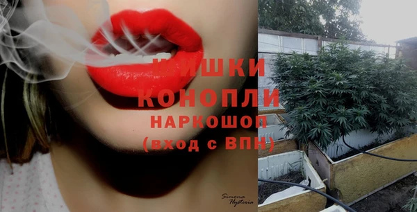 тгк Россошь
