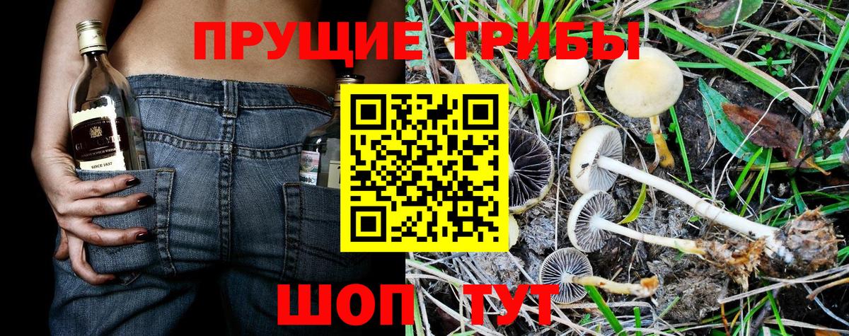 Псилоцибиновые грибы прущие грибы  Галлюциногенные грибы ЛСД  Прохладный  Вход с VPN 