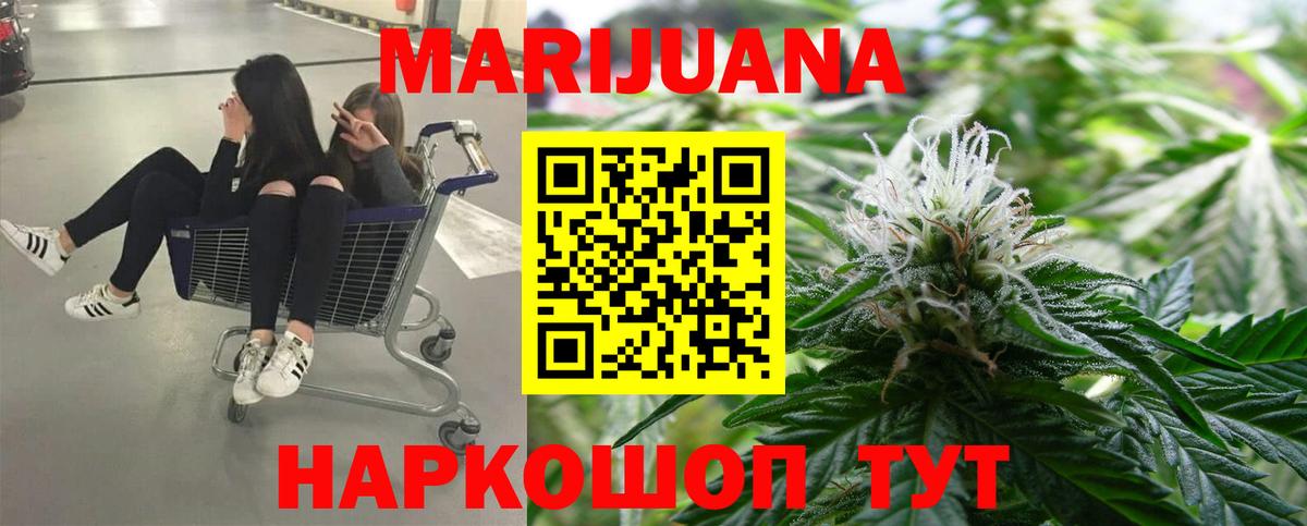 Бошки марихуана THC 21% Прохладный